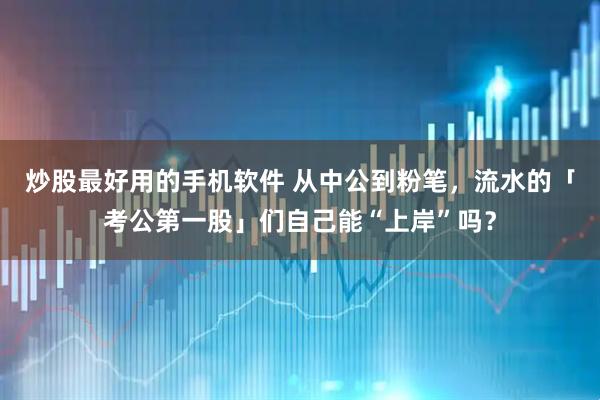 炒股最好用的手机软件 从中公到粉笔，流水的「考公第一股」们自己能“上岸”吗？