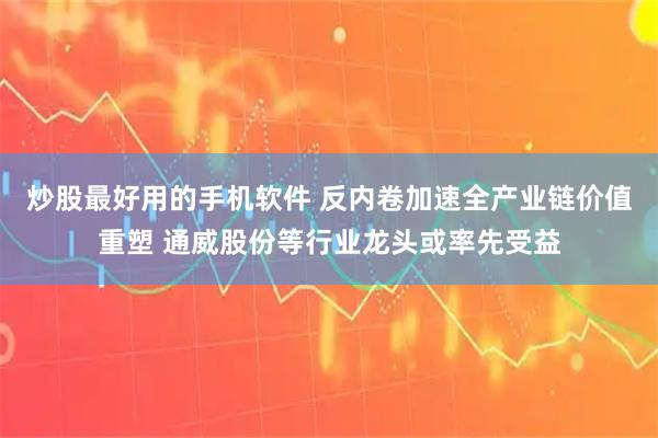 炒股最好用的手机软件 反内卷加速全产业链价值重塑 通威股份等行业龙头或率先受益