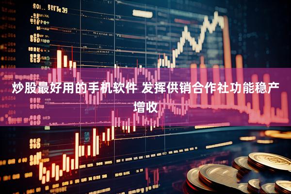 炒股最好用的手机软件 发挥供销合作社功能稳产增收