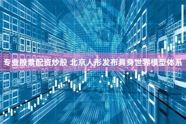 专业股票配资炒股 北京人形发布具身世界模型体系
