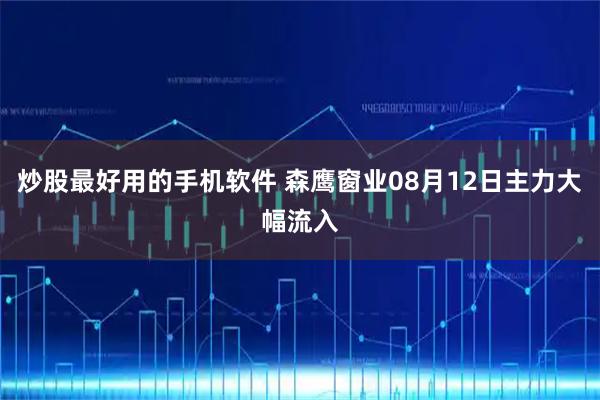 炒股最好用的手机软件 森鹰窗业08月12日主力大幅流入